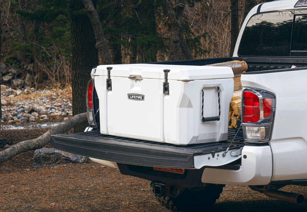 cooler ice chest