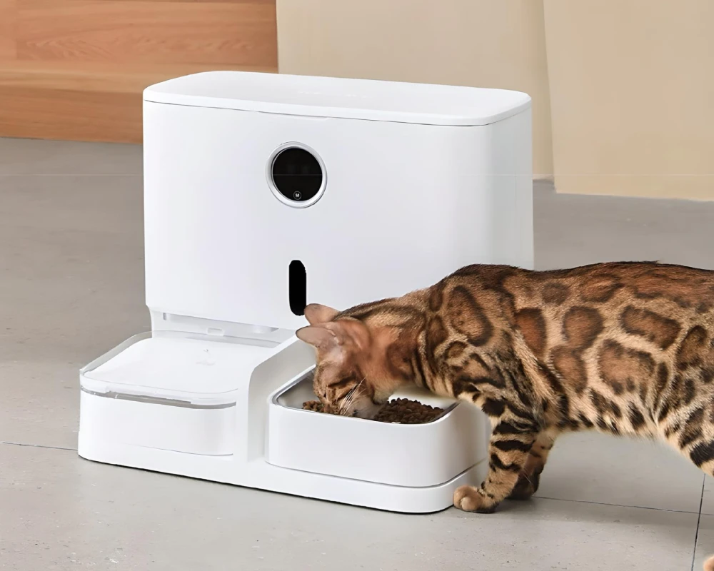 automatic feeder for dogs